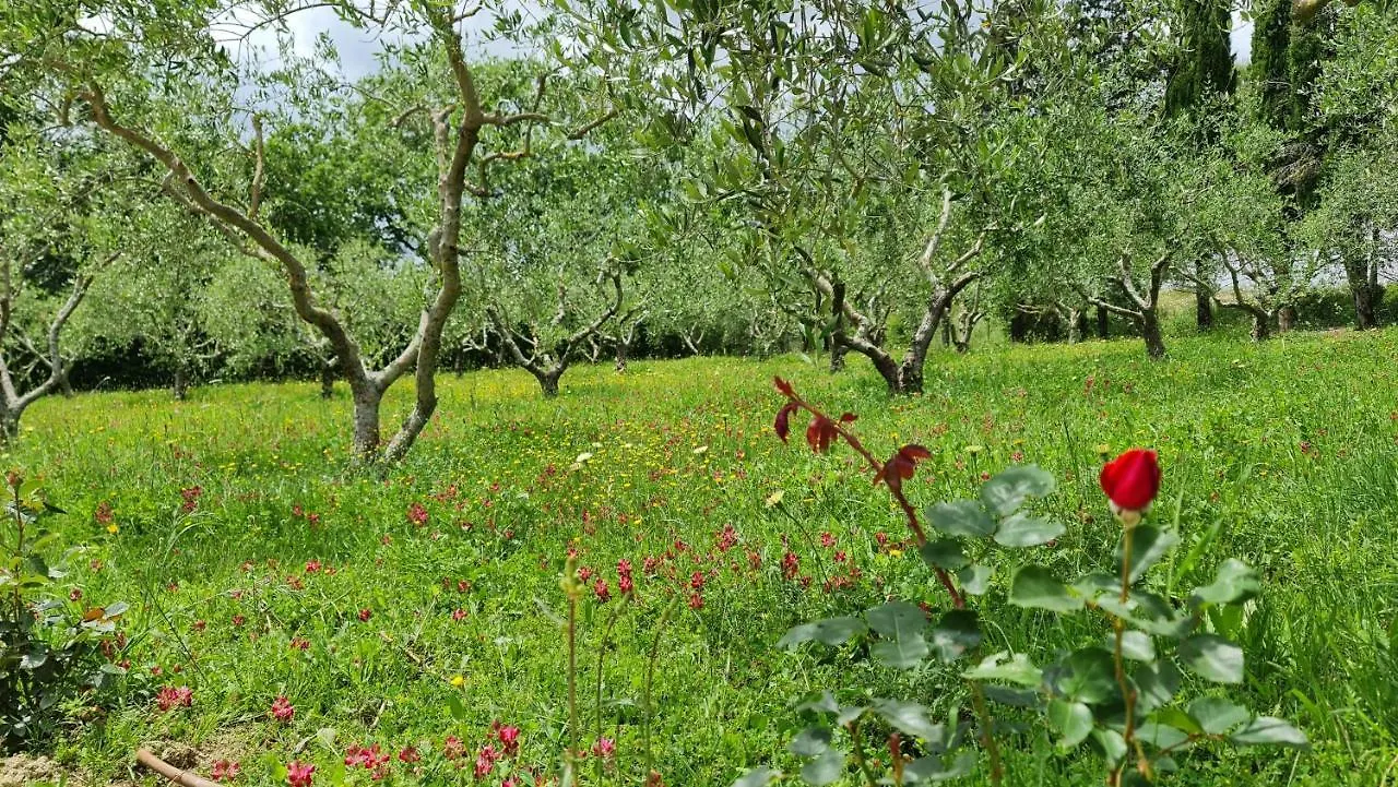 Podere Colombaio - Bucaneve Radicofani